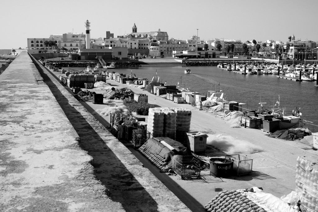 EL MUELLE GALLERA BERNAL